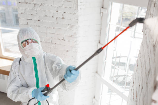 Best Mold Remediation for Rental Properties  in Rossmoor, CA