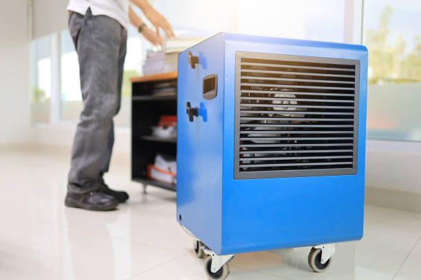 Best Mold Documentation for Insurance Claims  in Rossmoor, CA